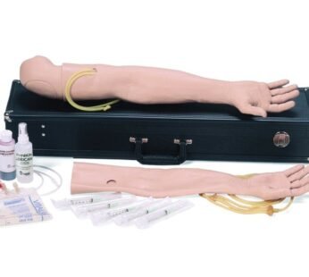 LAERDAL MALE MULTI-VENOUS IV TRAINING KIT