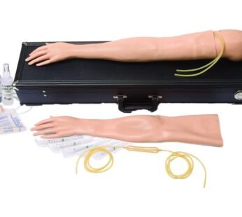 LAERDAL FEMALE MULTI-VENOUS IV TRAINING KIT